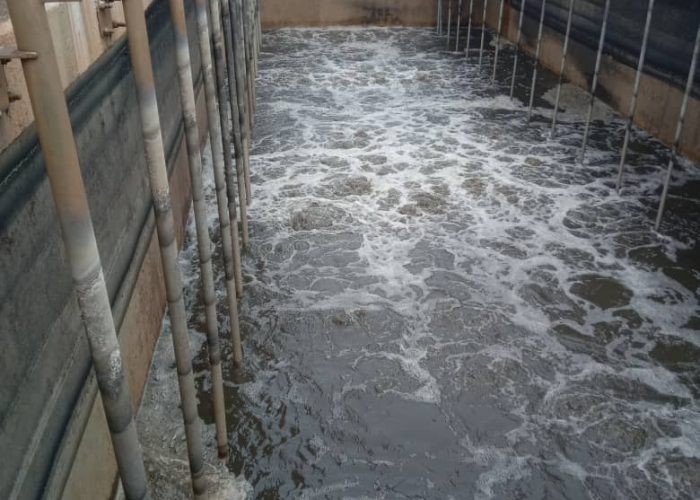 WhatsApp Image 2020-04-04 at 3.51.27 PM