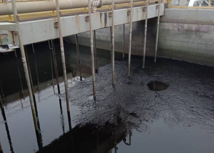 WhatsApp Image 2020-04-04 at 3.51.28 PM(2)