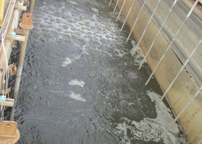 WhatsApp Image 2020-04-04 at 3.51.31 PM